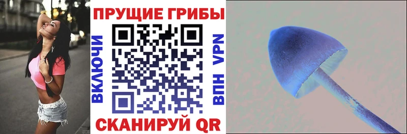 Псилоцибиновые грибы MAGIC MUSHROOMS  Купить где  Новосиль 